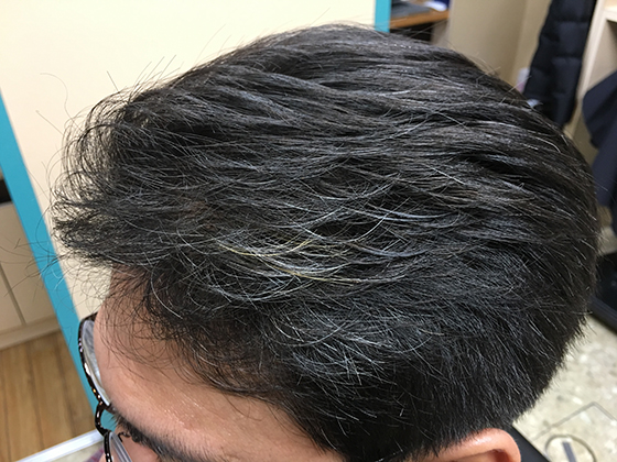 �J���[�G�N�X�e